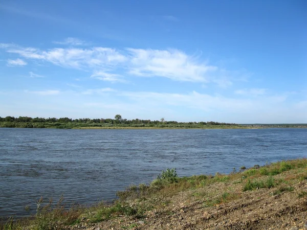 River and  plants — Stock Photo, Image