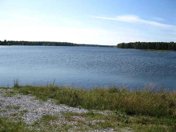 Jezioro i rośliny — Zdjęcie stockowe