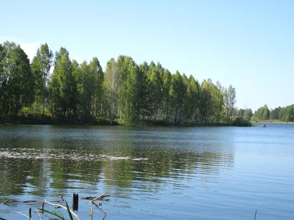 Blue  river and plant — Stock Photo, Image