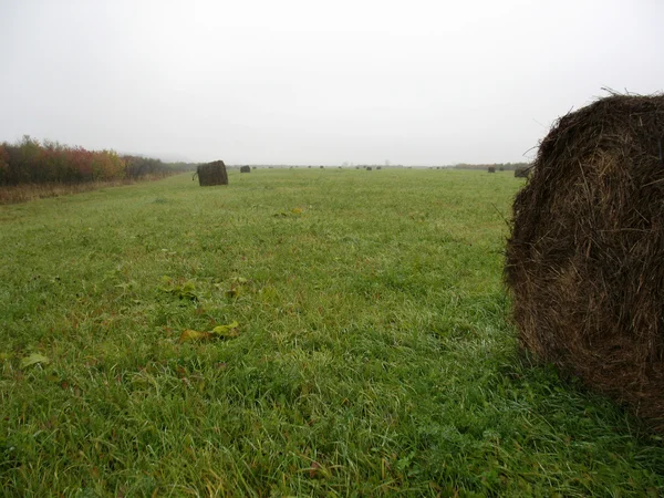 Palheiro e campo de grama verde — Fotografia de Stock