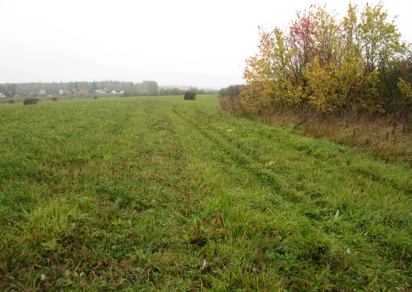 Stóg siana i pole trawa zielony — Zdjęcie stockowe