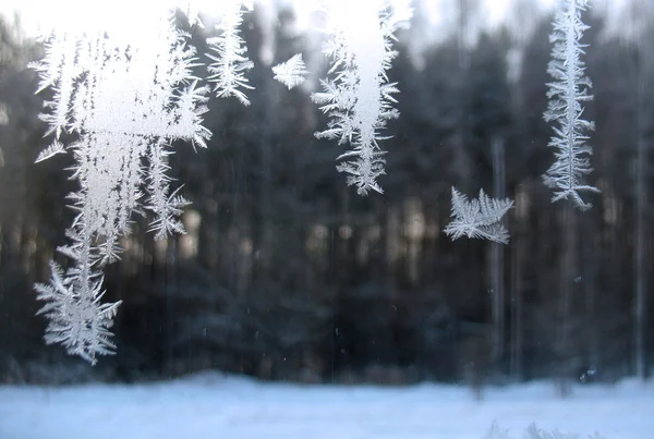 얼어붙은 겨울 창 — 스톡 사진