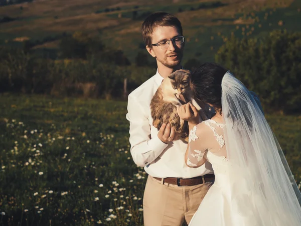 Casal de casamento com gato — Fotografia de Stock