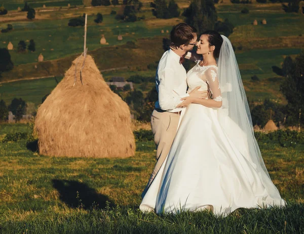 Hermosa boda en las montañas , —  Fotos de Stock