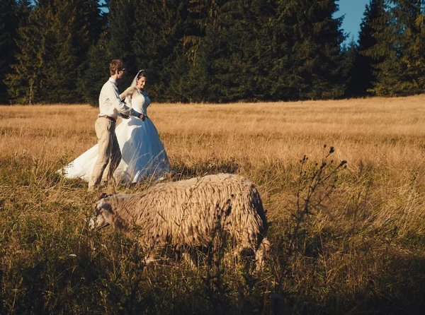 Casamento. Feliz dia de verão . — Fotografia de Stock