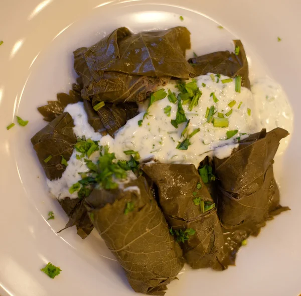 Dolma - carne de peluche en hojas de uva con salsa — Foto de Stock