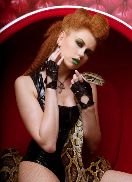 Atraente Jovem Sexy Mulher Vermelho Cadeira Holdung Python Grande Cobra — Fotografia de Stock
