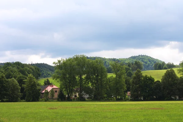 Summer landscape. — Stock Photo, Image