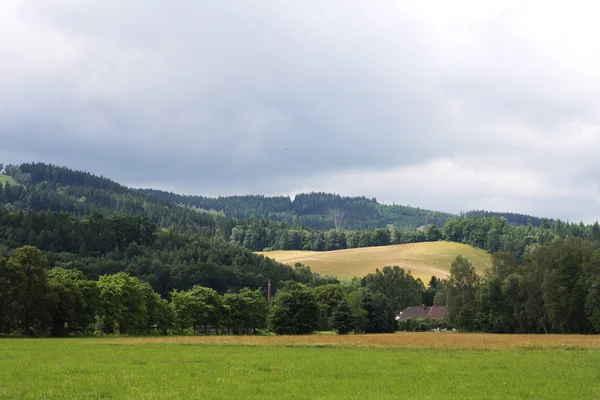 Paisaje verano. — Foto de Stock