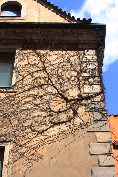 Історичні будівлі, площі міста Прага — стокове фото