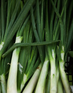 Frenk soğanı yakın çekim