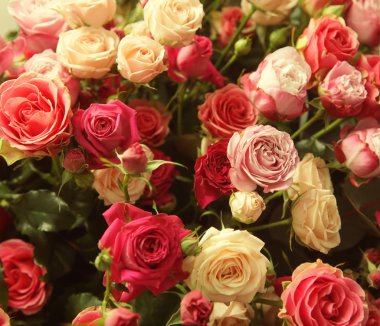 çok renkli gül buketi