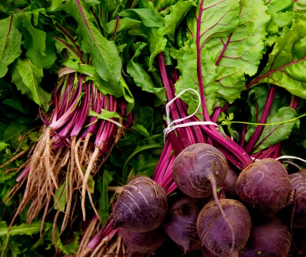 Cachos de beterrabas — Fotografia de Stock