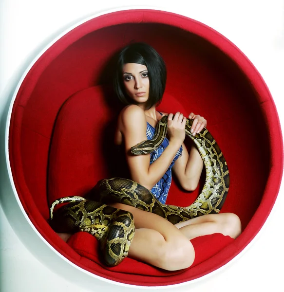 Žena v červené křeslo holdung Pythonu — Stock fotografie