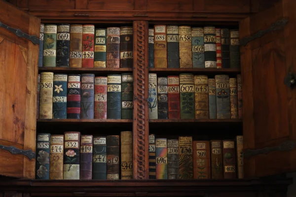 Old books on a medieval bookshelf — Stock Photo, Image