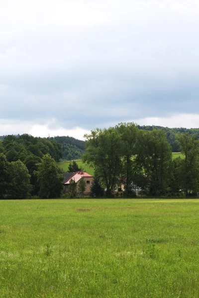 Summer landscape. — Stock Photo, Image