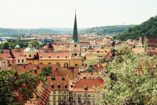 Domy z tradycyjnymi czerwonymi dachami w Pradze — Zdjęcie stockowe