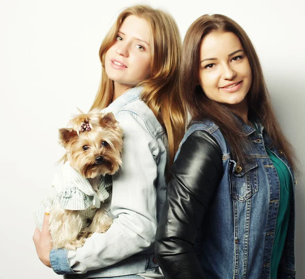 Two teenage sisters with Yorkshire Terrier — Stock Photo, Image