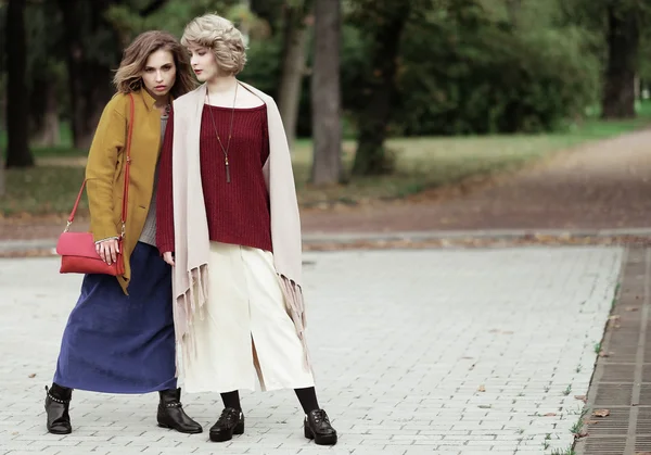 Dos chicas alegres en el parque de otoño — Foto de Stock