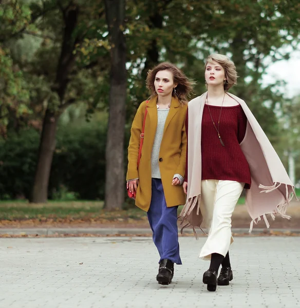 Dos chicas alegres en el parque de otoño — Foto de Stock