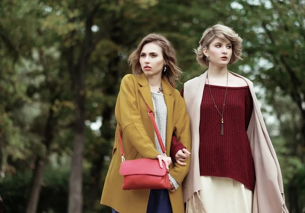 Dos chicas alegres en el parque de otoño — Foto de Stock