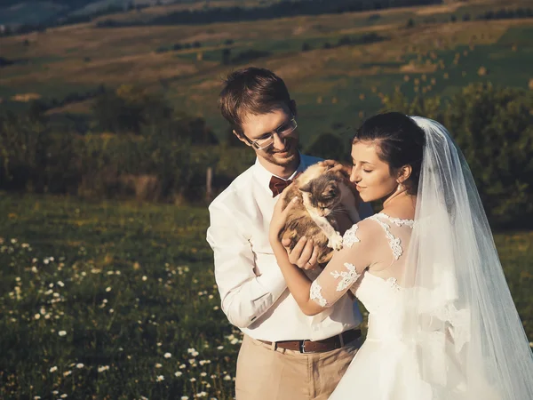 Casal de casamento com gato — Fotografia de Stock