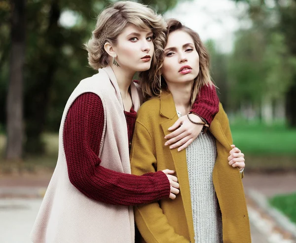 Two cheerful girls  in the autumn park — Stock Photo, Image