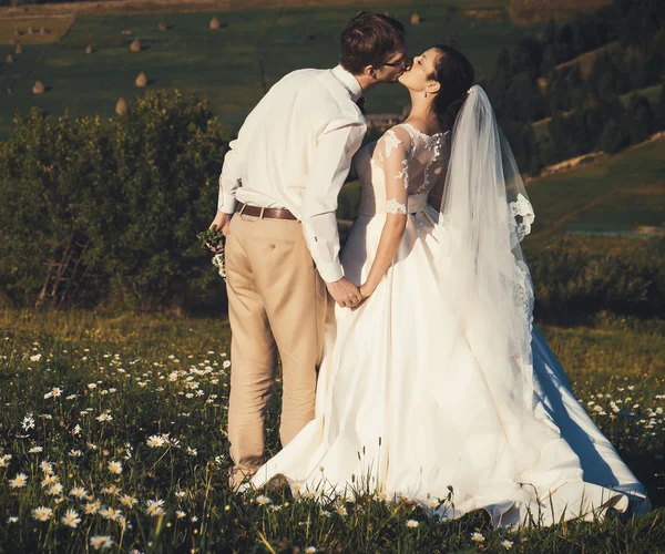 Casamento. Hora de verão . — Fotografia de Stock