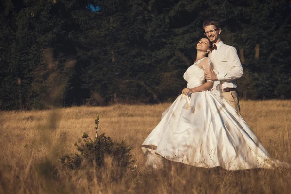 Hochzeitspaar. Sommertag. — Stockfoto