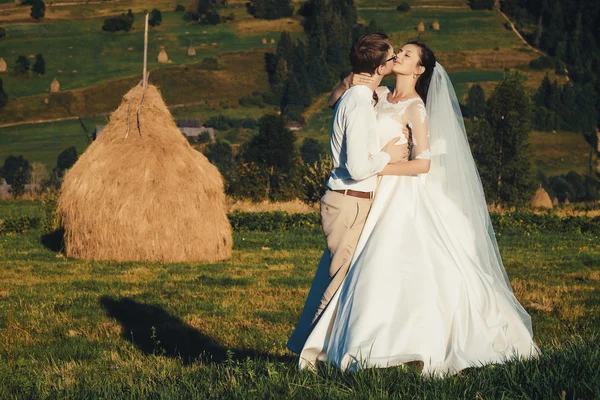 Casamento bonito nas montanhas , — Fotografia de Stock