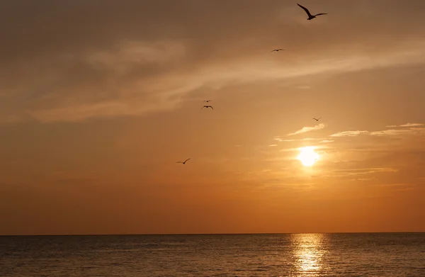 海の上の夕日. ロイヤリティフリーのストック画像