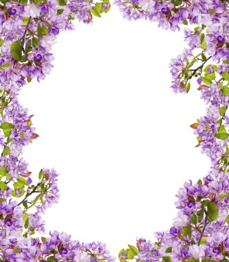 Lila çiçek dalları çerçeve