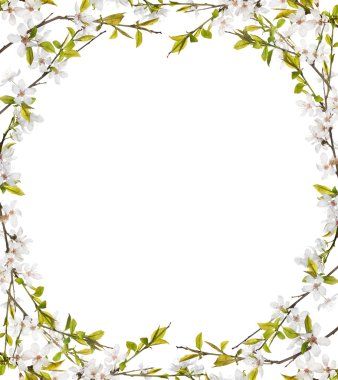 Çiçek Çerçevesi