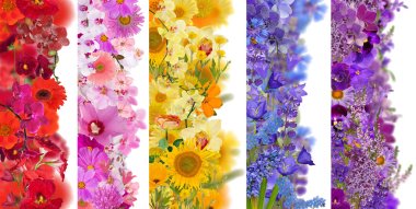 strips from flowers clipart