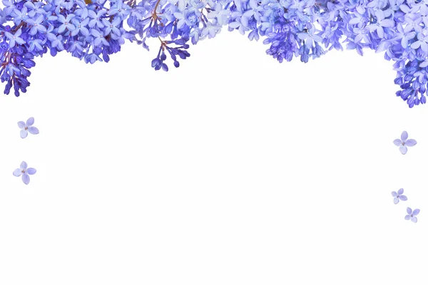 Moldura de flores lilás azul — Fotografia de Stock