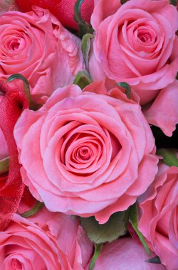 Pembe güller arka plan