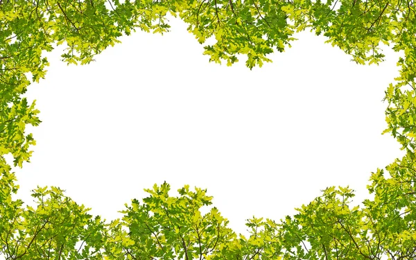 Green oak  frame — Stock Photo, Image