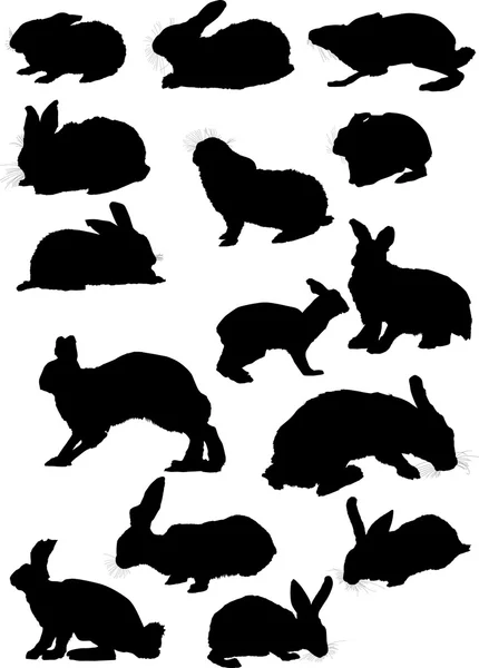 Silhouettes de lièvre — Image vectorielle