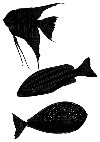 Black fishes — Stock Vector