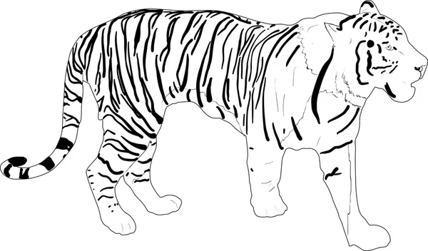 Silhueta de tigre — Vetor de Stock