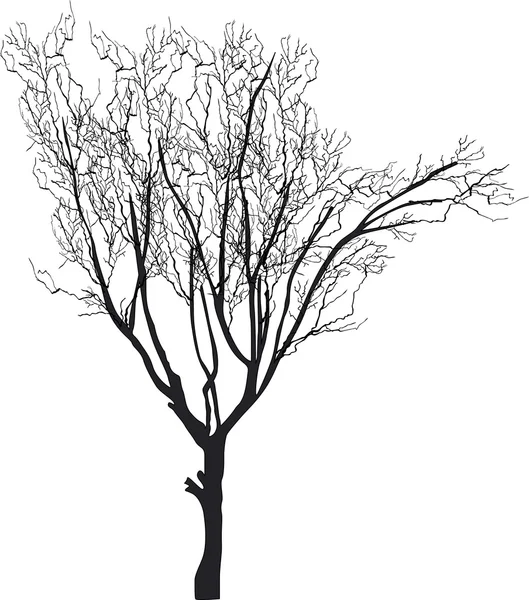 Silueta de árbol — Vector de stock