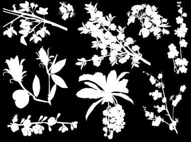 ağaç çiçek dalları