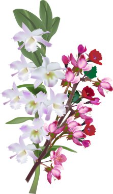 pembe ve kırmızı çiçek dalları