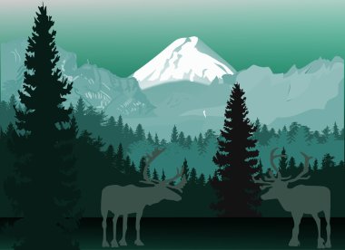 Karanlık ormanda geyikler