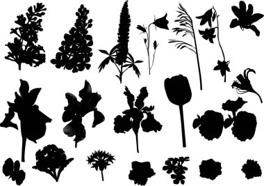çiçek silhouettes