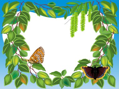 Huş çerçeve zekâ kelebekler