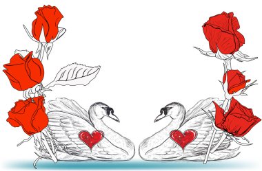 İki kuğu ve kırmızı gül