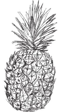 ananas kroki