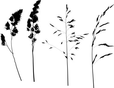 bitki siluetleri
