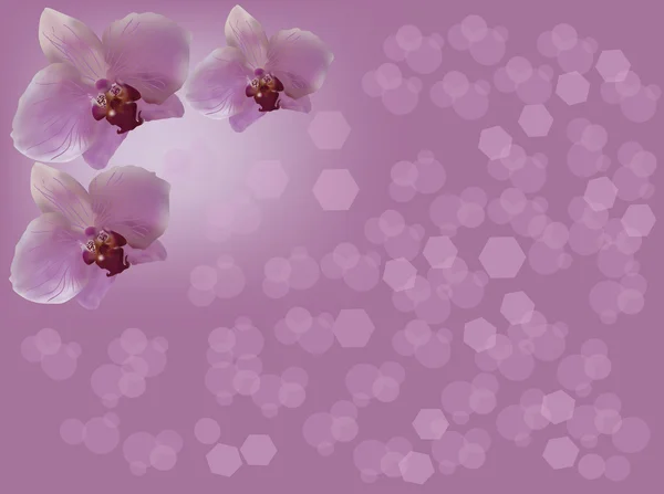 Decoração de orquídea roxa — Vetor de Stock